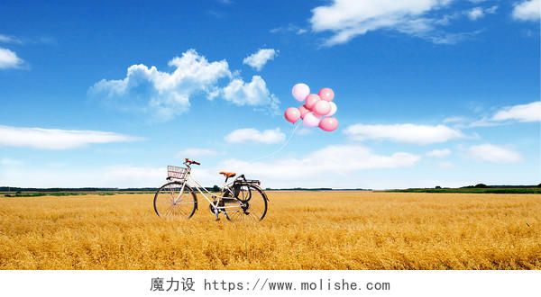 田园场景情人节带着气球自行车展板背景